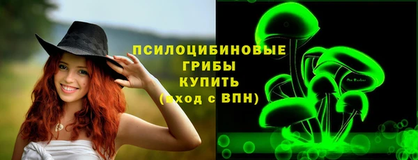 прущие крисы Аркадак