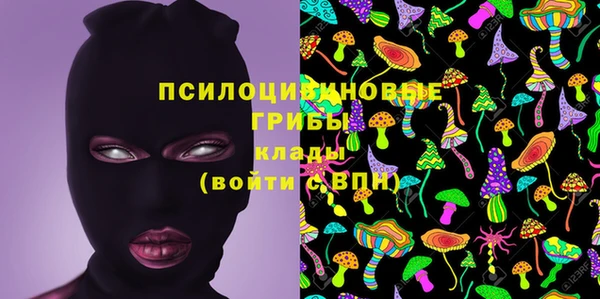 прущие крисы Аркадак